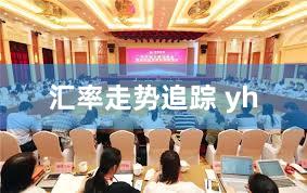 汇率走势追踪 yh